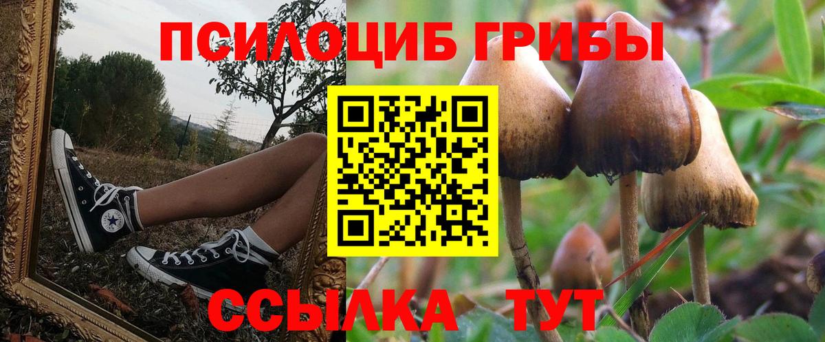 Галлюциногенные грибы GOLDEN TEACHER Когалым